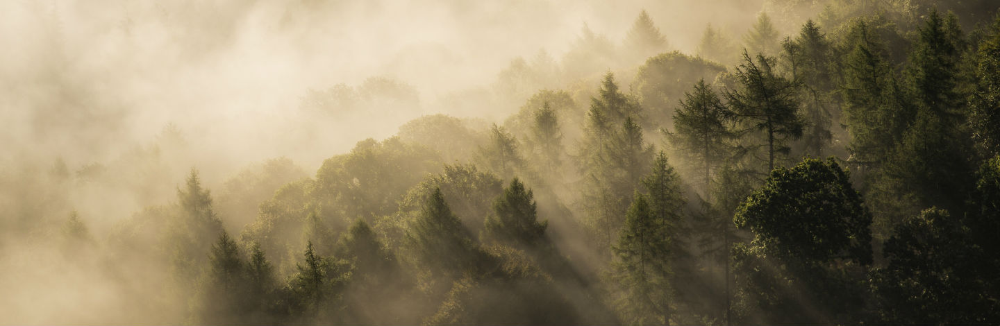 Park Rangers and Outdoorsman Share Their Creepy Nature Encounters