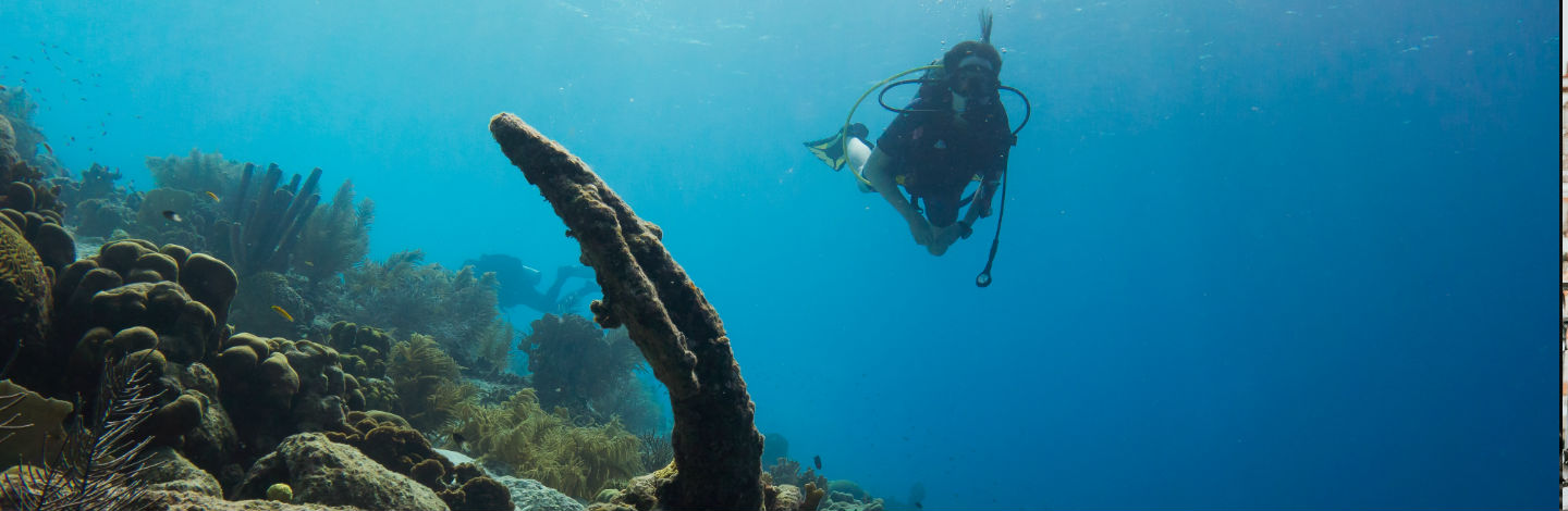 Scuba Divers Share The Strangest Thing That Has Ever Happened To Them Underwater