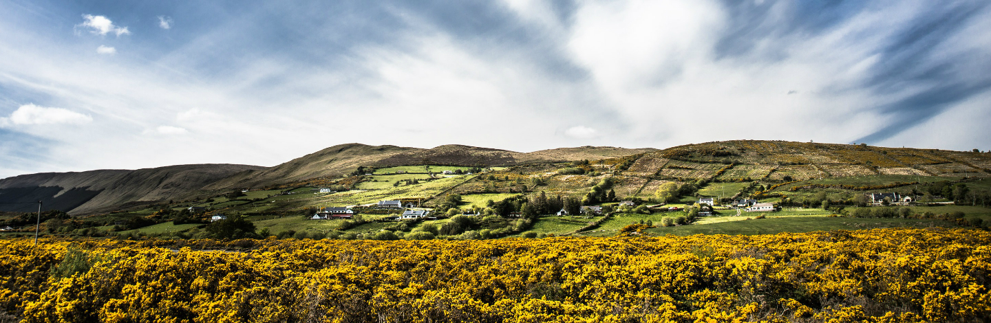 The Ultimate Guide To Visiting Ireland