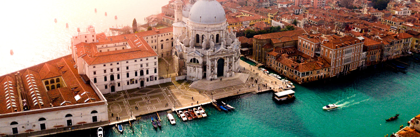 Jellyfish In Venice? Shutdown Leaves Water So Clean You Can See Marine Life